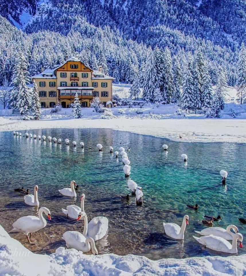 Apartments & Relax Greta Toblach Exteriér fotografie
